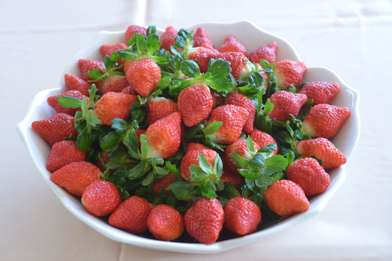 受到氣候影響，今年的香水草莓提早一個月上市。   圖：苗栗縣政府/提供