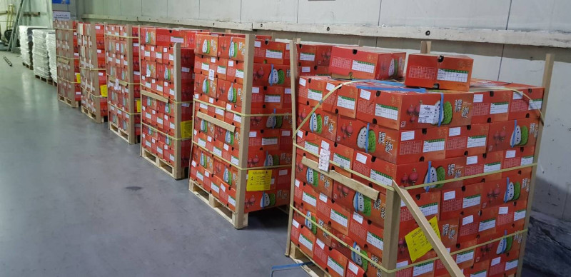 台東鳳梨釋迦今天運抵科威特進口商「新鮮蔬果公司」FFC的發貨倉庫。圖：科威特代表處