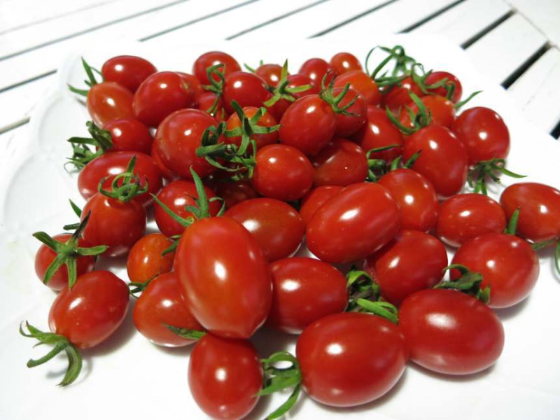農委會表示，番茄從果皮到果肉種子，整顆果實都可食用，它含有蛋白質、維生素B1、B2、C和鈣、磷、鉀。   圖：取自農業易遊網