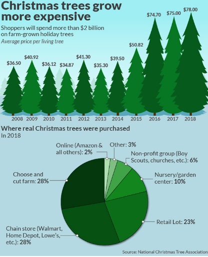 圖二：聖誕樹未受氣候變遷減產影響，銷價逐年成長且需求旺盛。圖片來源：National Christmas Tree Association
