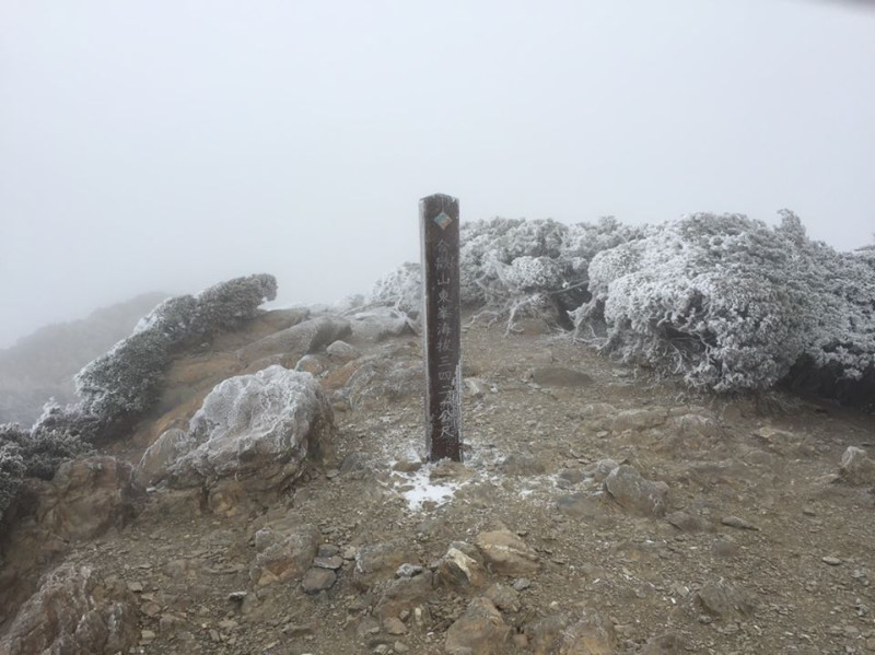 海拔3421公尺的合歡東峰，低溫及水氣讓箭竹批上一層白色的霧淞。   圖：太魯閣國家公園/提供