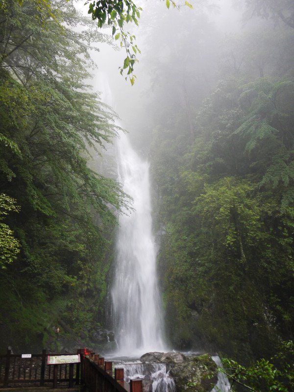 桃山瀑布負離子含量是全台前幾名。圖：翻攝自武陵農場臉書