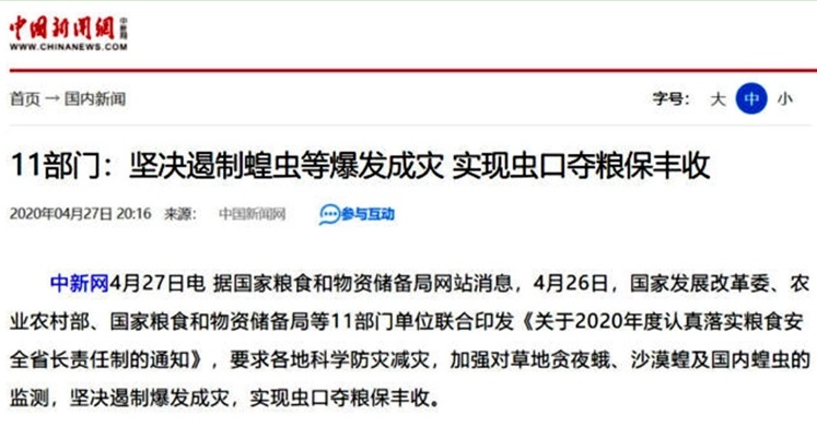 中共國家發改委、農業部等11個部門要求堅決遏制蝗蟲「爆發成災」，實現「蟲口奪糧」保豐收。 圖：擷取自中國新聞網