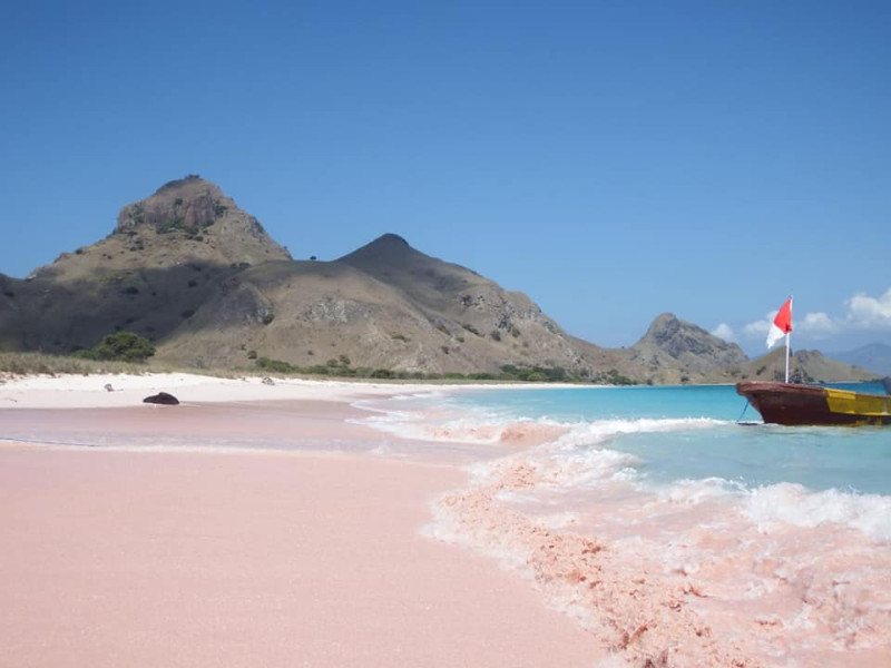 科莫多島上有粉紅色的海灘，是極受歡迎的打卡點。 圖：翻攝自Kantor Balai Taman Nasional Komodo臉書