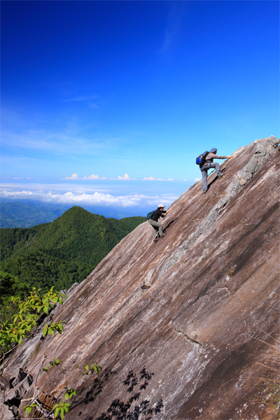 攀上鳶嘴山的過程非常刺激，岩壁上的繩索和自身的力量是攀岩過程中的唯二防護。 圖：東勢林區管理處／提供