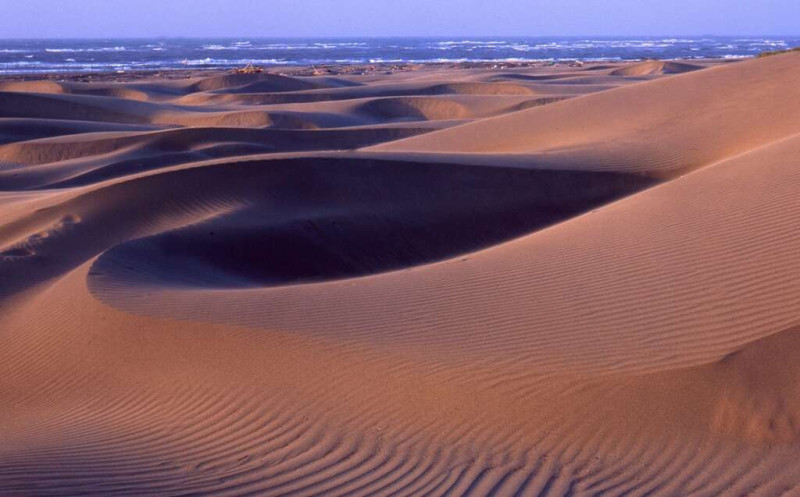 頂頭額沙洲有如沙漠。 圖：台南市觀旅局／提供