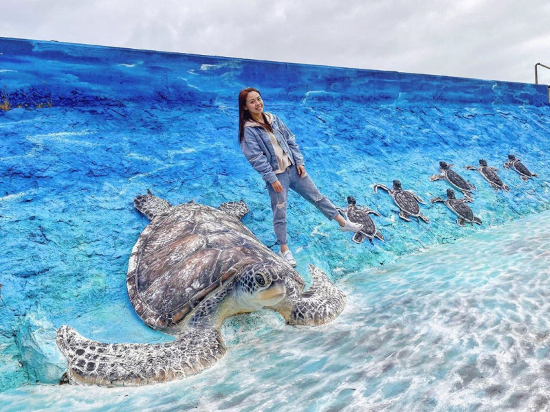 3D海龜造型牆是真的可以靠在海龜背上拍照。 圖：IG@fishsgfish／攝影授權