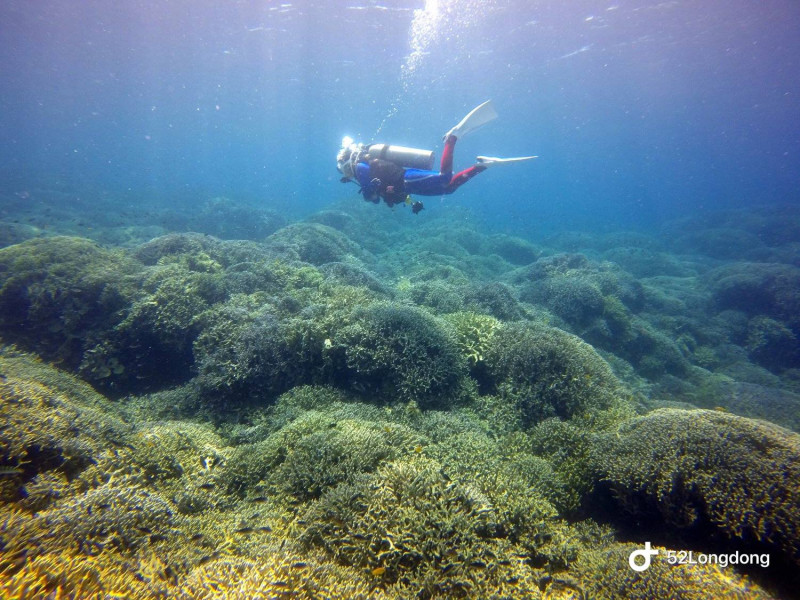 龍洞是北部最知名的潛水勝地，每逢海象平穩的假日總能見到潛水客人群。 圖：翻攝自52龍洞臉書