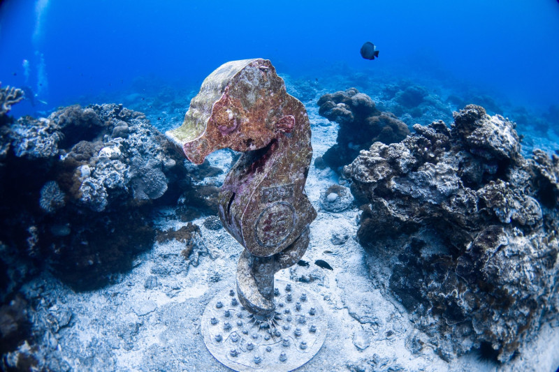 綠島的海馬郵筒是世界上最深的海底郵筒。 圖：台灣潛水教練 小唐／攝