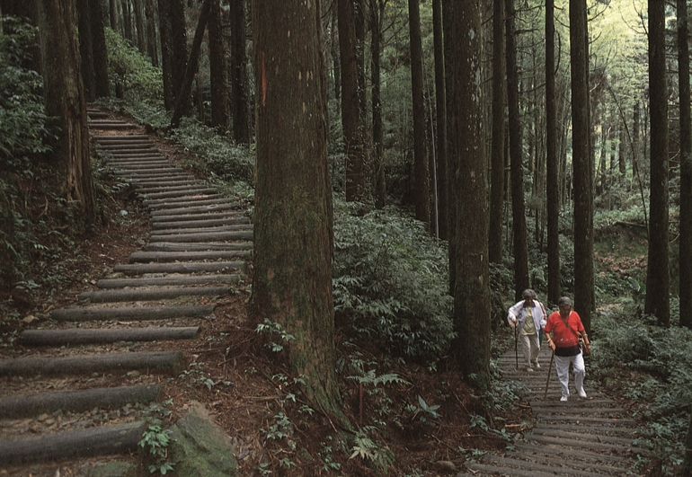 大凍山步道可享受舒心的竹、杉林雙重森林浴，大凍山最高峰為編號60的台灣小百岳。 圖：嘉義縣文化觀光局／提供