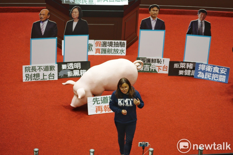 國民黨為抗議蔡政府強行開放含萊劑美豬，製作道具豬，多次在立法院議場使用。   圖：張良一/攝
