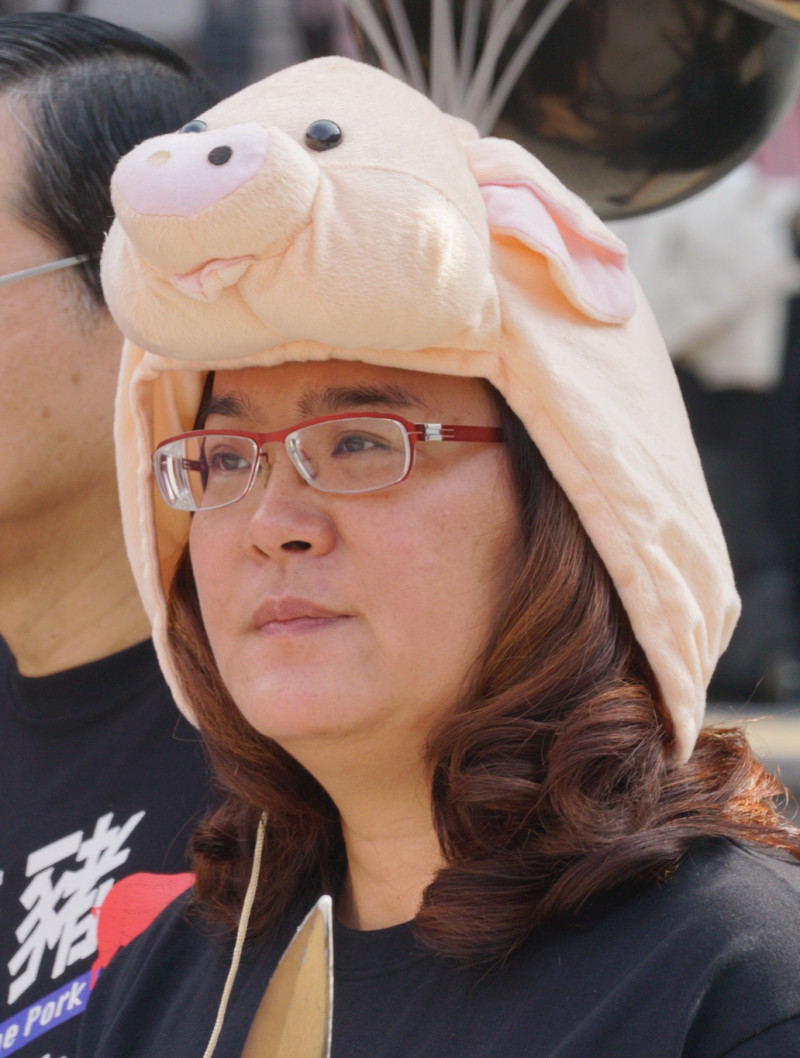 國民黨立委陳玉珍帶著豬豬頭套參加記者會。   圖：張良一/攝