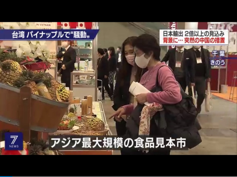 NHK報導指出，今年台灣鳳梨在日本銷售量至少二倍以上，在千葉幕張食品展中台灣鳳梨備受矚目。 圖：攝自NHK新聞