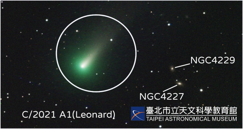 雷納德彗星（Leonard）。   圖：台北市天文科學教育館
