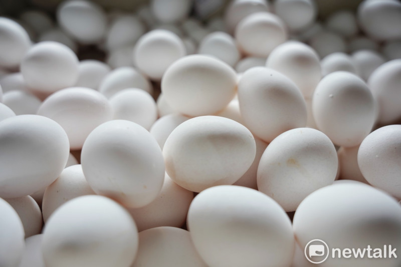 為了解決蛋荒，農業部3到7月專案進口雞蛋共1億4千多萬顆，其中約有5170萬顆待銷毀，造成約2億元的農業損失。（雞蛋示意圖）   圖：張良一／攝