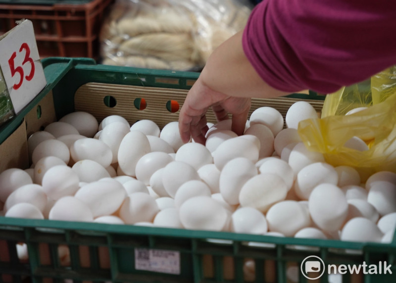 農業部今年初啟動專案進口雞蛋，但卻因庫存調度，導致5402萬顆進口雞蛋屆期而需要銷毀，遭質疑浪費且有環境污染的問題。（蛋示意圖）   圖：張良一／攝(資料照)