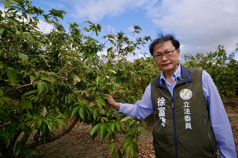  徐富癸關注恆春地區荔枝園關心損失情形。 圖：徐富癸辦公室提供 