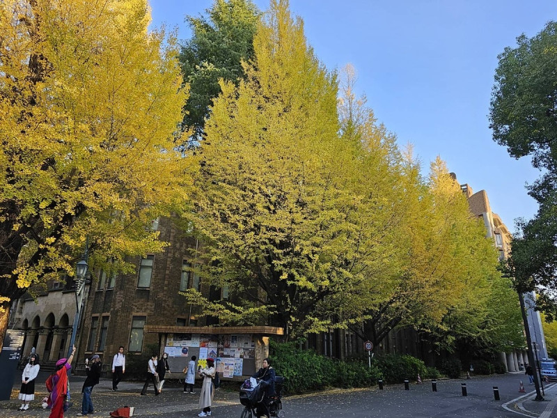  ▲中國人拼命想送孩子進東大，而在文京區買房，造成當地房價暴漲、「中國城」化，讓原來居民受不了。（圖為東京大學） 圖：劉黎兒／攝 