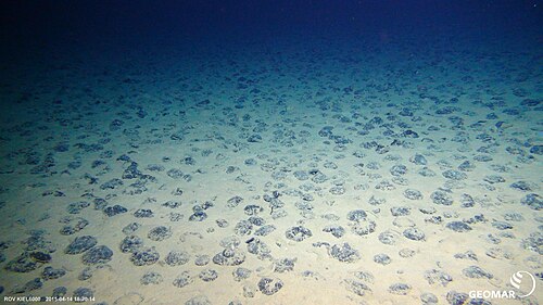 多金屬結核(Polymetallic nodules)在海床底是珍貴的經濟礦物。 圖:翻攝自維基百科 多金屬結核(Polymetallic nodules)在海床底是珍貴的經濟礦物。 圖:翻攝自維基百科