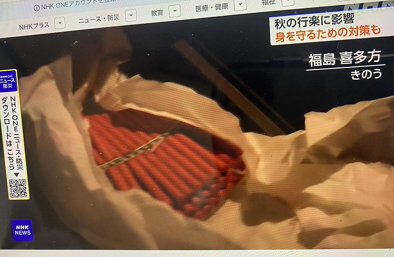  送報人員相繼遭熊侵襲甚至犧牲，現在鄉下送報人員都準備爆竹打算嚇走熊。 圖：翻攝NHK 