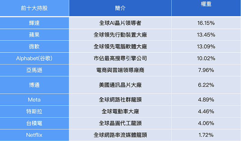 009815 追蹤指數前十大持股。來源：Bloomberg；大華銀投信整理／資料日期：2025／10／31