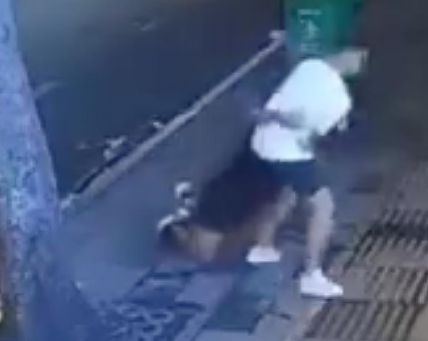  澳洲幫派在越南街頭發生衝突：椰子卡特爾頭目被槍殺 圖：翻攝自 X @Luibitao 
