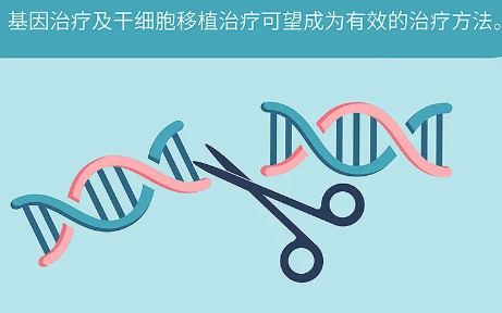 杜氏肌營養不良症的可能療法為基因治療、幹細胞移植治療,較有希望治癒。 圖:翻攝自華大基因官網 杜氏肌營養不良症的可能療法為基因治療、幹細胞移植治療,較有希望治癒。 圖:翻攝自華大基因官網