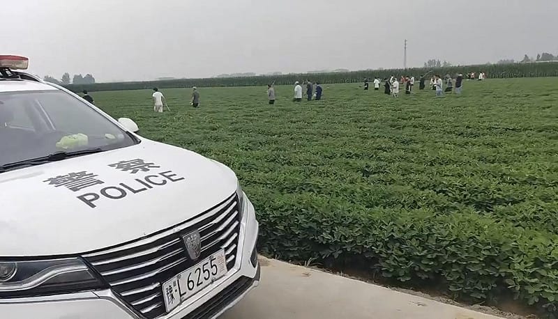  網傳犯罪嫌疑人夏付鋼在西平縣與漯河市之間的玉米地一帶，再次砍傷兩人後逃脫，警方與村民隨即再度展開地毯式搜捕。 圖：翻攝自 X 帳號 @李老師不是你老師 