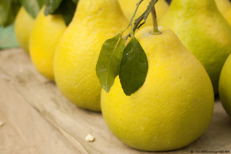 柚子與葡萄柚含有類似的成分，容易與部分藥品產生交互作用，可能增加藥物副作用或毒性發生的機率！   圖：Flickr提供tinabasgen開放權限