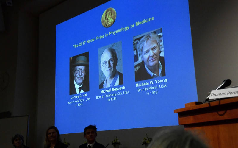 諾貝爾醫學獎得主在今 (2) 日下午於瑞典斯德哥爾摩公布, 得主由三位美國人 (由左至右)傑佛瑞霍爾 邁可羅巴許及麥可楊共同獲得。   圖 : 達志影像/美聯社