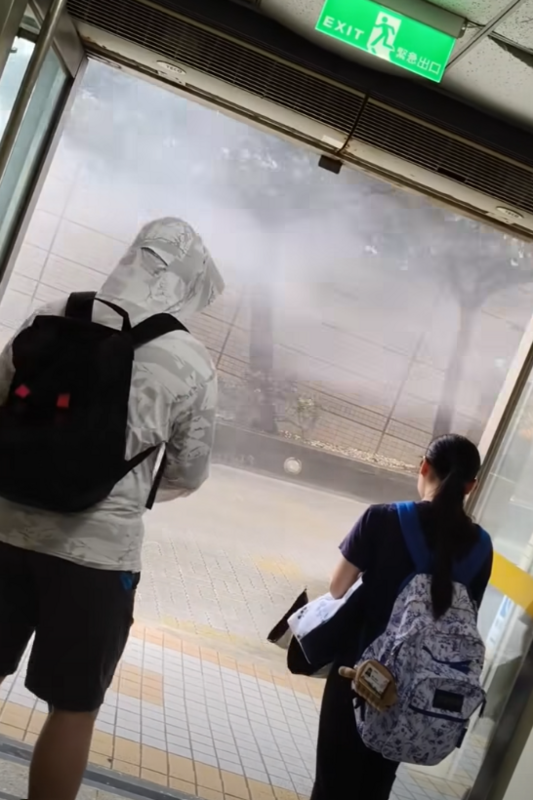 陽明山上的文化大學更是狂風暴雨，不僅颳11級陣風，校區雨勢大到能見度低，路樹還被強發吹得歪斜。   圖：取自爆料公社