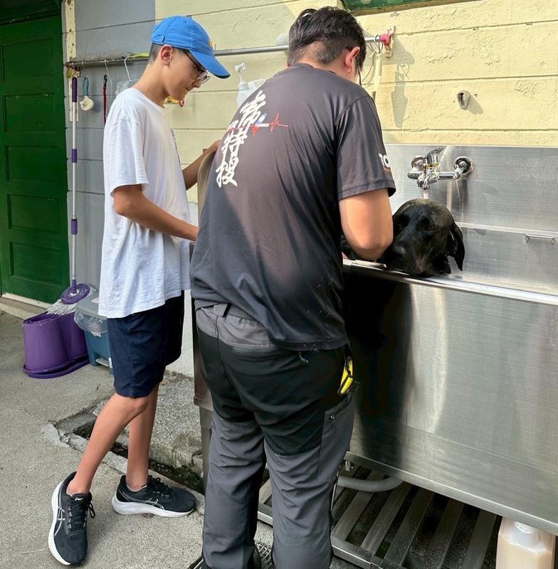與會民眾親自為搜救犬清潔洗澡,讓辛苦執勤的英雄們也能好好放鬆。 圖:光田醫療體系/提供