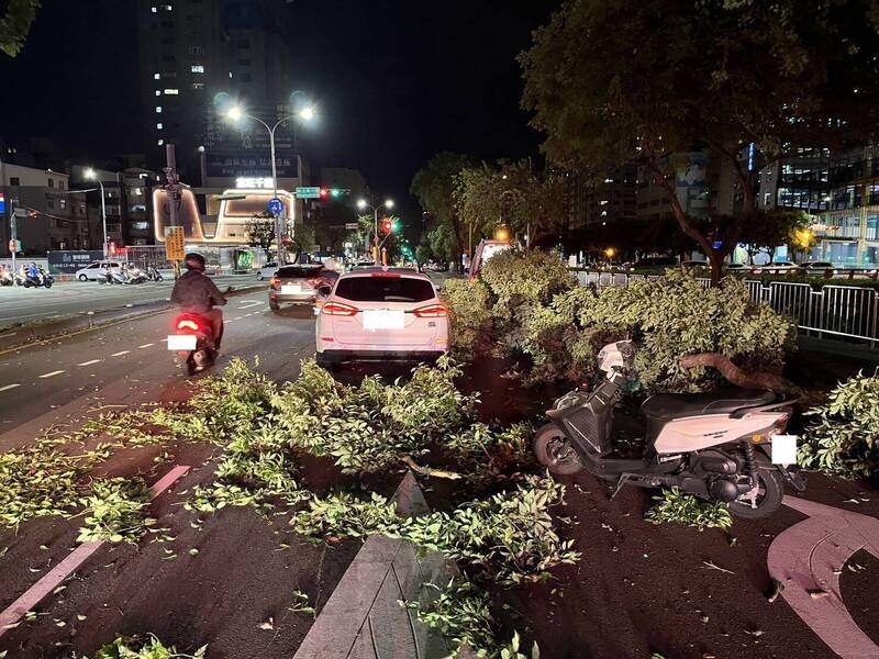 台中強風不斷，路樹倒塌砸中路過機車騎士與小客車，女騎士送醫無大礙。   圖：民眾提供