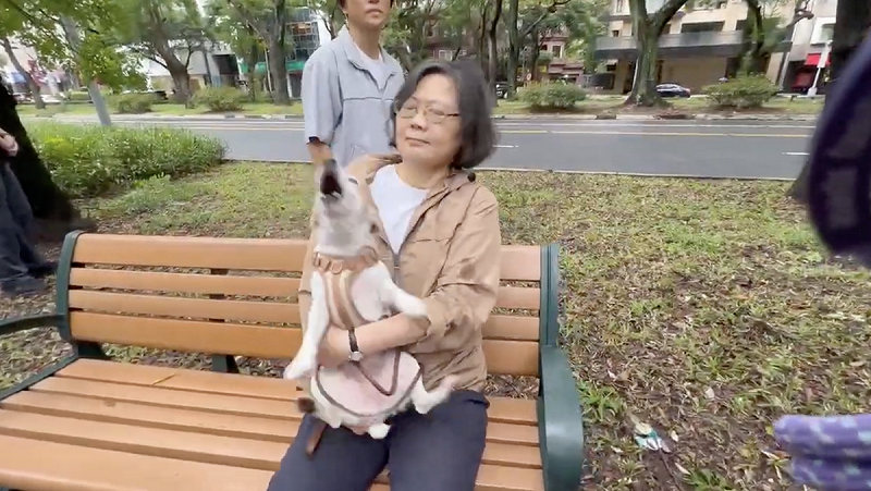 樂樂看到其他狗大叫,讓蔡英文直說沒面子。 圖:蔡英文辦公室/提供   樂樂看到其他狗大叫,讓蔡英文直說沒面子。 圖:蔡英文辦公室/提供