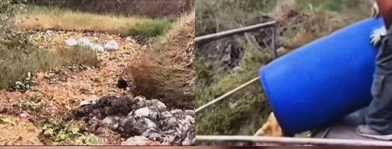 台中廚餘谷畫面曝光，引網友痛批。   圖：翻攝自Threads