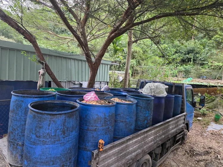 新北市泰山一處養豬場被查出違法廚餘餵豬,最高開罰400萬元。   圖:翻攝畫面