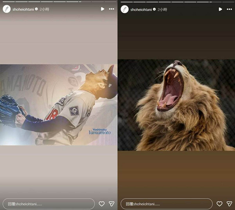 大谷翔平賽後更新IG限時動態，放上山本由伸仰天長吼的圖片與獅吼圖。（圖取自instagram.com/shoheiohtani）   