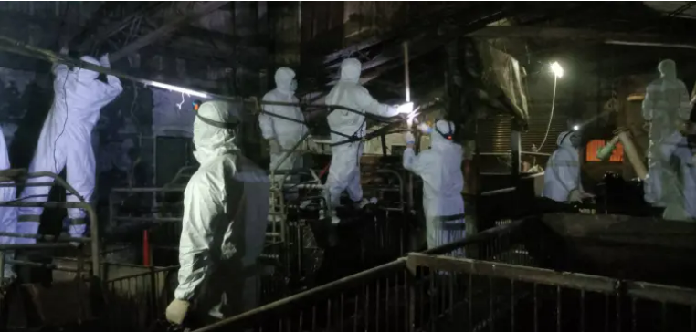 黃貞祥指出，台中市府未通報即清消，已非單純防疫失誤，而是對中央防疫體系的挑釁，並造成公衛信任崩潰。   圖：農業部／提供