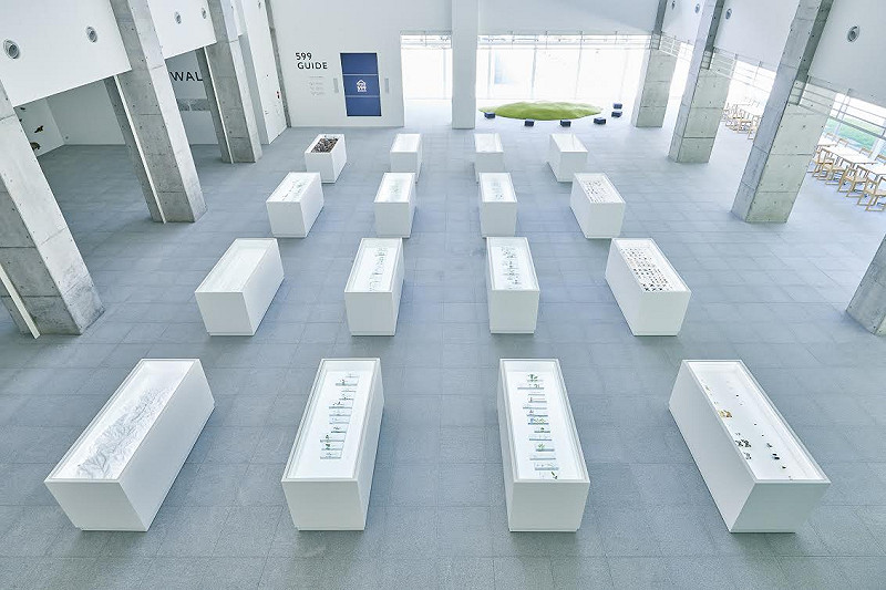 高尾599博物館内、展示風景之一。打造明亮易親近的標本觀賞體驗。   圖：Taiji Yamazaki