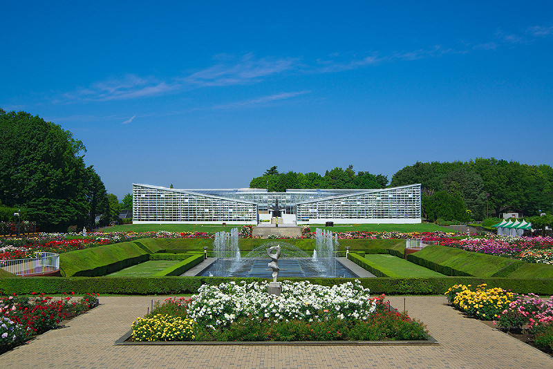 神代植物公園。東京屈指可數的植物園，廣闊的園區四季繁花盛開。   圖：神代植物公園提供