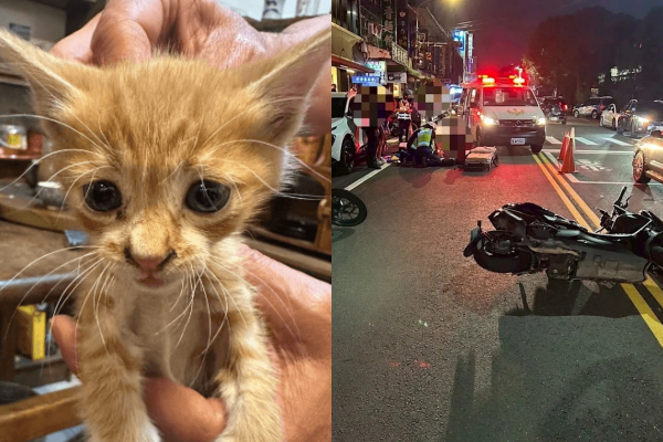 老婦人為救流浪貓，疑似違規過馬路遭機車撞飛。   圖：翻攝畫面