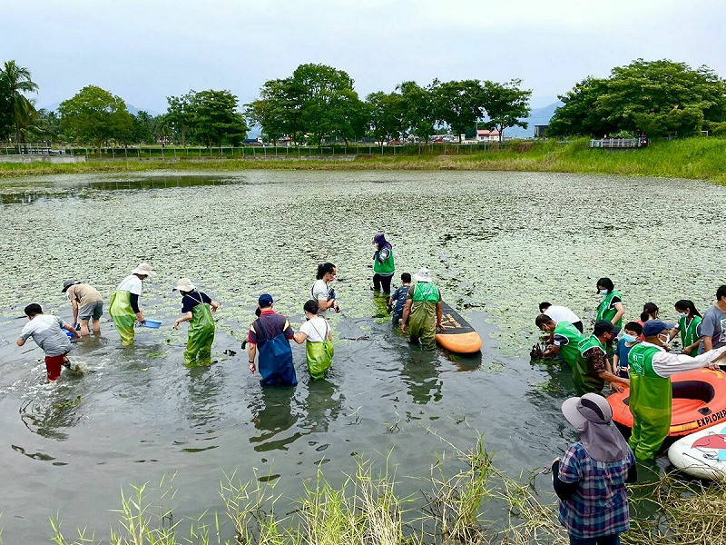 小朋友學習認識野蓮等水生植物。   圖：高雄市觀光局/提供