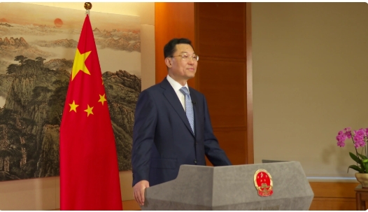 中國駐美大使謝鋒。   圖 : 翻攝自觀察者網