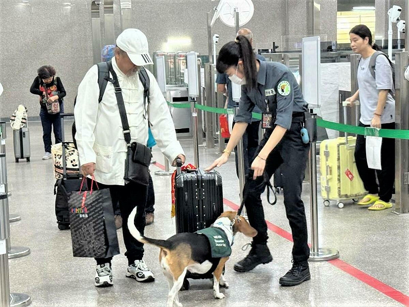 今年金門小三通航線已查獲15起民眾將「中國豬肉」帶回國案件，皆已裁罰。   圖：財政部關務署高雄關／提供