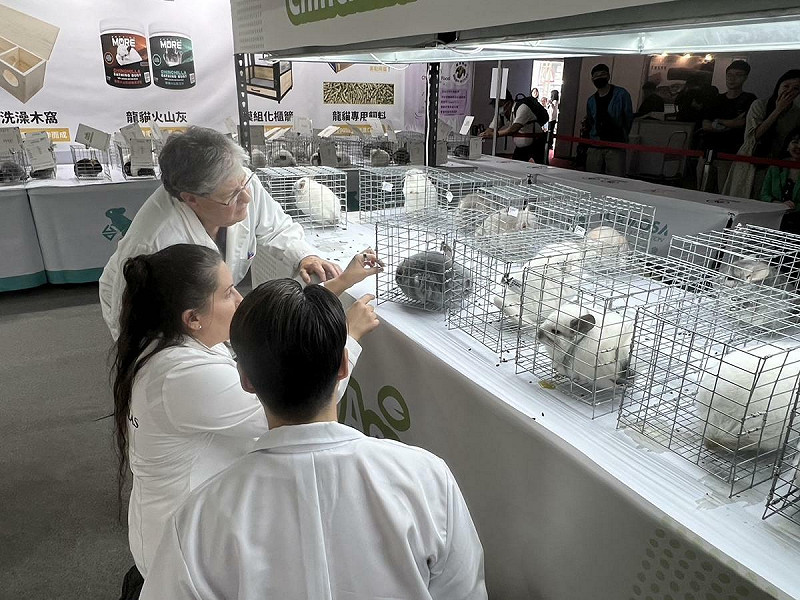 透過寵物展覽舉辦龍貓比賽，集合國內、外龍貓玩家們及邀請國際龍貓評審團來台共襄盛舉。   圖：主辦單位/提供