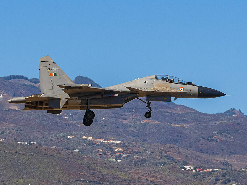 印度媒體先前報導亞美尼亞可能購買印度組裝的蘇－30MKI ，如今亞美尼亞防長親自闢謠，沒有此事。   圖：翻攝自@Platypuss_10