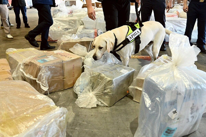 防檢署指出，近年來仍在旅客行李、快遞包裹中檢出含非洲豬瘟病毒的肉製品，顯示境外輸入風險仍存在。   圖：農業部／提供