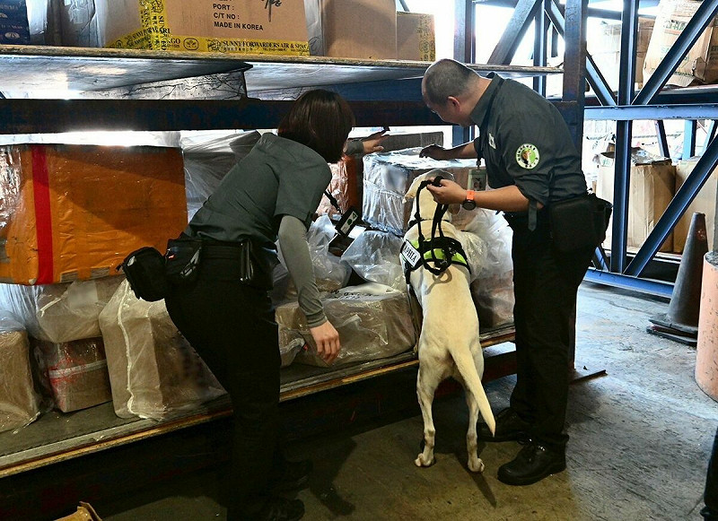 防檢署指出，近年來仍在旅客行李、快遞包裹中檢出含非洲豬瘟病毒的肉製品，顯示境外輸入風險仍存在。   圖：農業部／提供