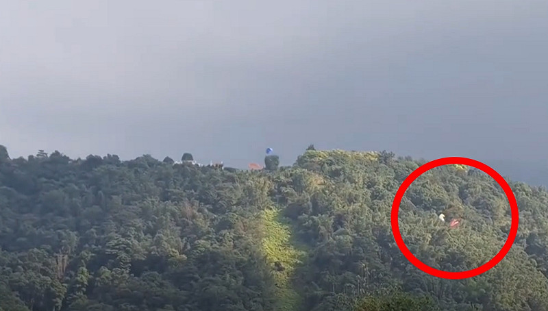 2名飛行傘玩家由於過於靠近產生碰撞後墜林。   圖：翻攝自記者爆料網