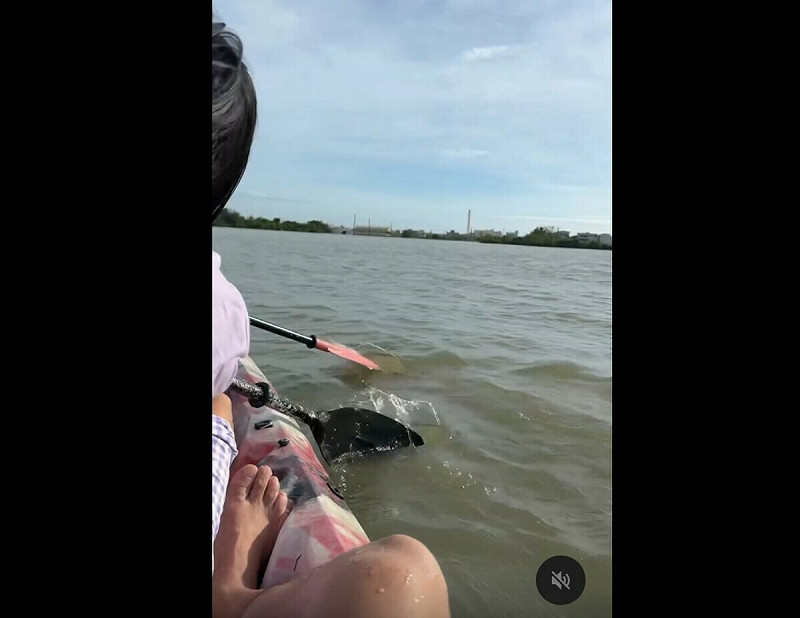 網友分享划獨木舟載小孩出門。   圖：翻攝自Threads